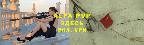 молекула духа Киреевск