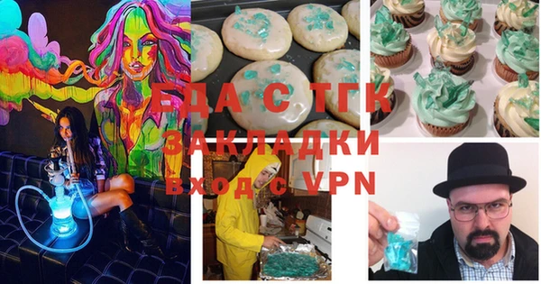 индика Карпинск