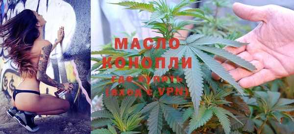 молекула духа Киреевск