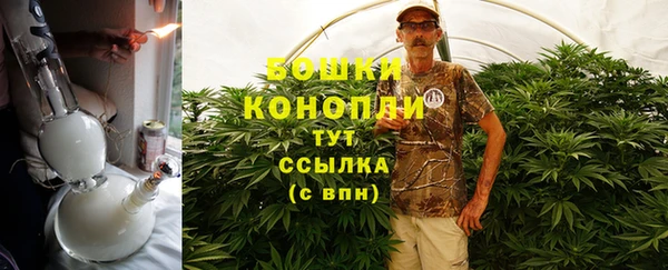 молекула духа Киреевск