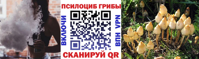 Купить  Верхняя Тура  Псилоцибиновые грибы прущие грибы 